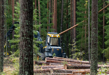 Metsä Group сокращает выбросы парниковых газов
